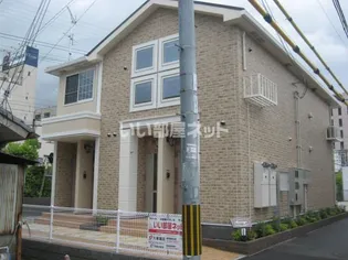 アネシスの画像