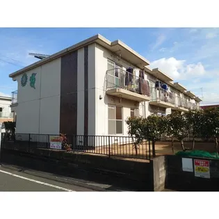 サンホワイトMの画像