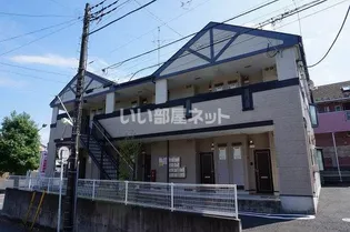 コガネハラーゼ ナミキの画像