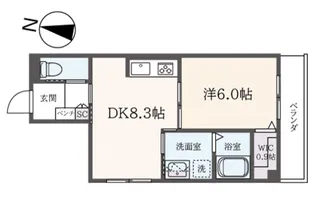 ヘーベルヴィレッジ大師橋~ベルヴィル・ド・デキノ~【3階】の間取り
