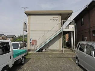 ハイツナナの画像