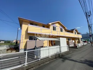 グレイス横黒の画像