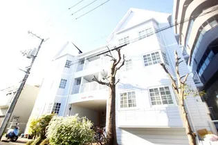 MAPLECOURT【1階】の外観