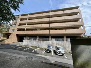 キャッスル新照院【5階】の外観