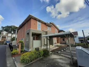 グレイスあんずの画像