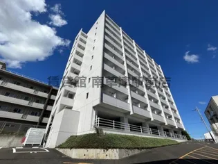 FELICIAうさぎの画像