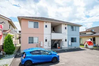 シュシュの画像