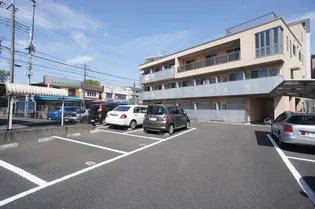 グラシアの画像