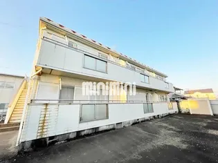 カモミールの画像