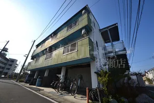 ワンステップ花畑の画像