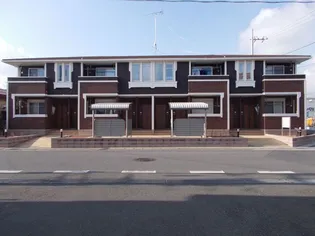 コッティBの画像