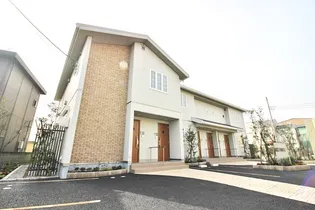 ヴィヴィットの画像