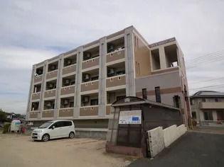 オープンロードの画像