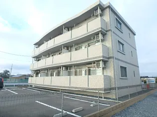 コンフォート プラス ワンの画像