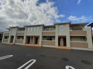 コータ コートCの画像