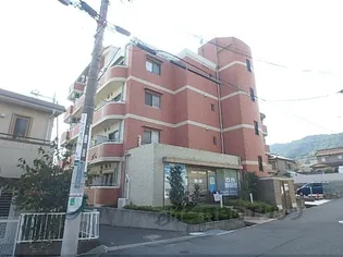グレース大嘉の画像