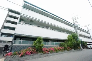 エヴァーホワイトの画像