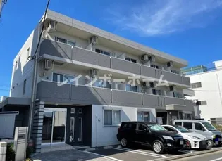 ヴィオラの画像