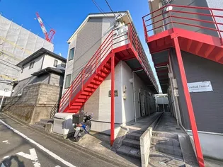 CENTRAL FORESTの画像