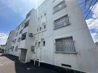 ナーシェルの画像