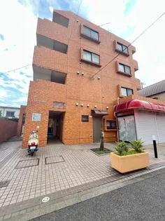 YS マジョリスの画像