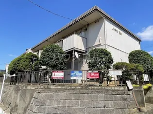 ハイネス石井の画像
