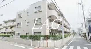 リベラルワタドの画像