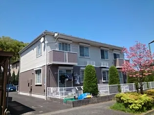 エバー グリーンの画像