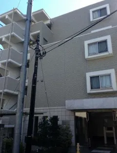 エクセリア二子多摩川IIの画像