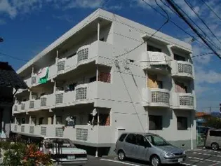 大地マンションの画像