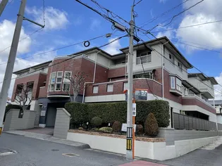 パルコ島の画像