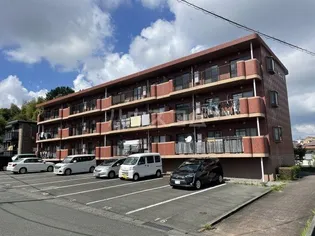 ビレッジ幸【2階】の外観