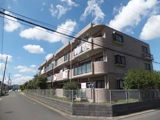 サカヤマンション松ヶ島の画像
