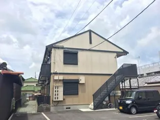 グリーンパラソルの画像