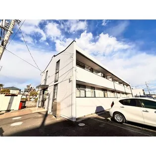 ルピナスの画像