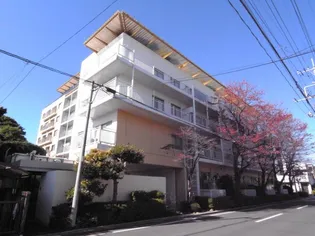 埼玉県さいたま市北区東大成町1【マンション】の外観