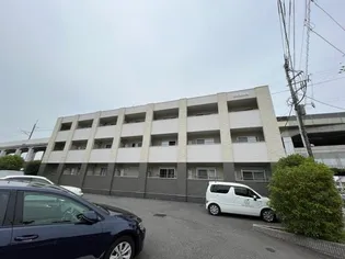 マイト カジヤの画像