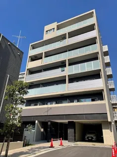 セボーンミナミスナの画像