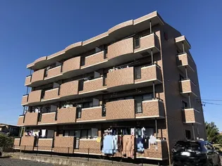 アリエルの画像