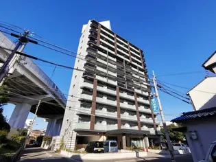 KAUNIS HIRANOの画像