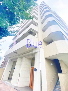 センチュリー新横浜いちょう通りの画像