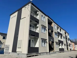 LARISSAの画像