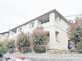 プリムローズの画像