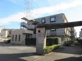 ベルウッド白百合の画像