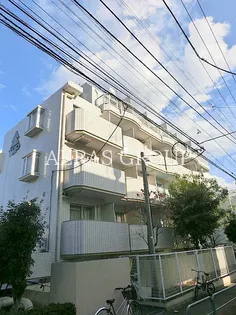 トップ板橋NO 1の画像