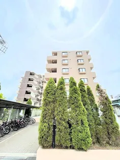 グランドールアキモトIIの画像
