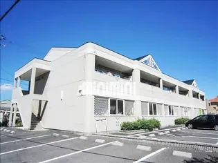 サンハイムシバの画像
