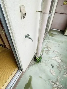 春日コーポ【2階】の内装