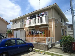 コートセルポアBの画像