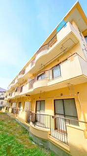 藤倉ハイツ【2階】の外観